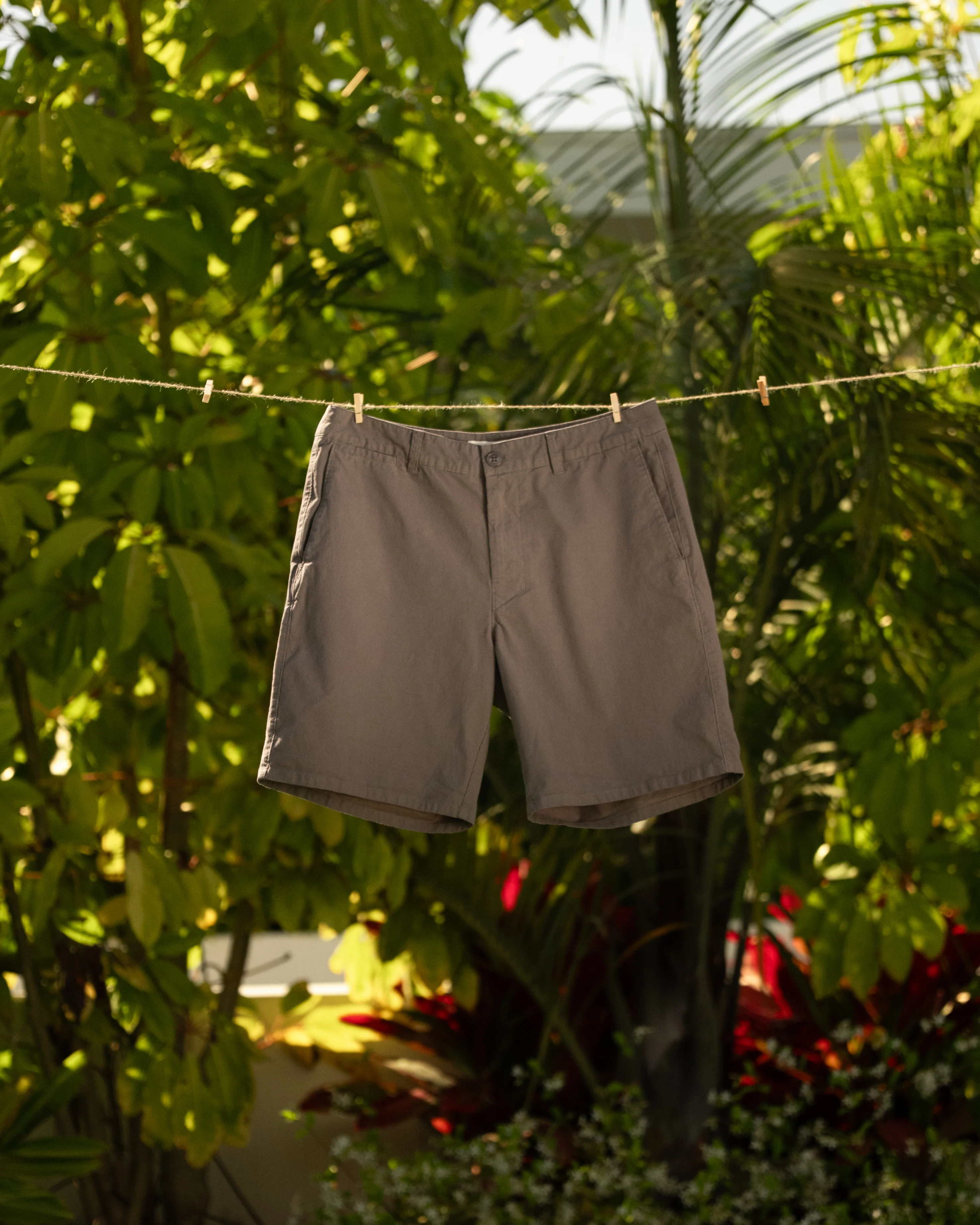 Classic Stripe Chino Short